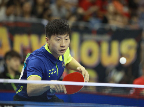 的中坚力量 的中坚力量