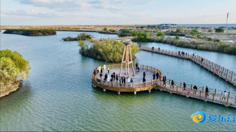 不仅为葡萄 不仅为葡萄