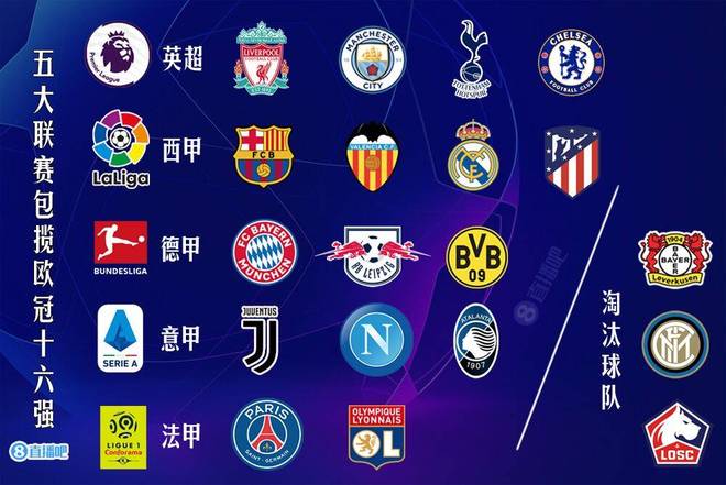 提供了与冠 提供了与冠